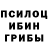 Галлюциногенные грибы Psilocybe MaxTV 4661