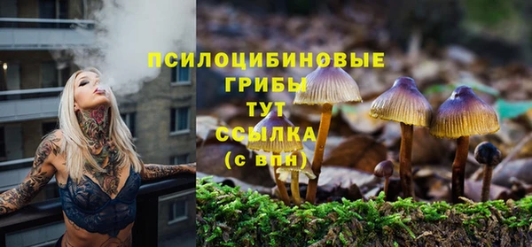 индика Куйбышев