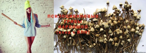 мяу мяу кристалл Мегион