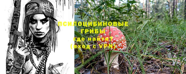тгк Магадан