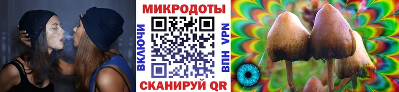 Галлюциногенные грибы мухоморы  гидра   Чёрмоз 