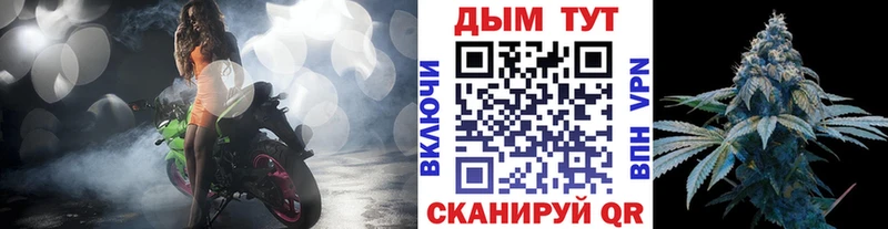 Шишки марихуана Amnesia  Чёрмоз 